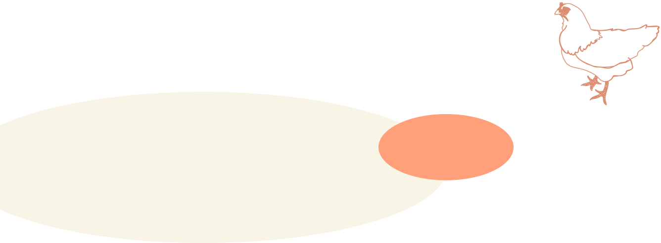 2色の背景と鶏のイラスト