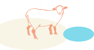 2色の背景と羊のイラスト